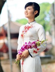 hoavokhuyet204