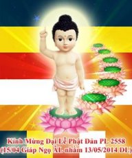 lopmotorvn