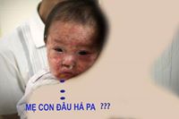 FilmHiếu
