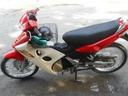 tyboss2304