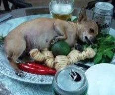 maxchichi