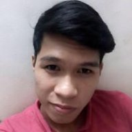 Pis