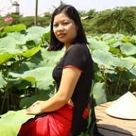 kimthai