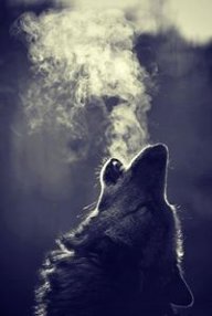 nicholasflamel