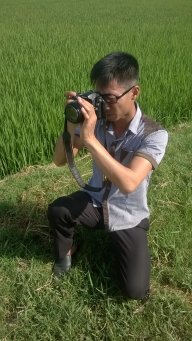 Thành Trần Phố Núi