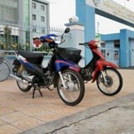 bắp bắp