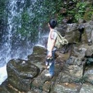 nguyentuanqs