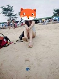 mèo hoang