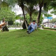 Trương Toàn