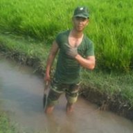 Truonglong