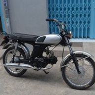 chau truong