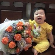 Tuan7991