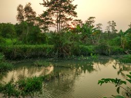 Hữu7644