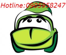 GreenCar