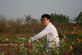 Tungthanh