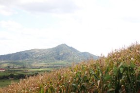 trần công tiến đạt