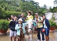 hoangthy