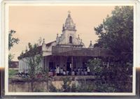 vinhhoa