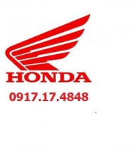 Mr.Đạt Honda