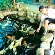 Vo minh dang