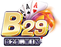 b29