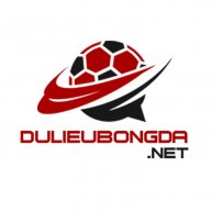 dulieubongdanet