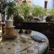 rau củ quả