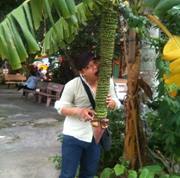 tantruong0788