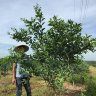 Đặng Hữu Thái