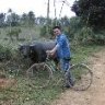 việt cường