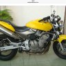 Hornet87