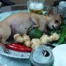 maxchichi