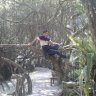 bẹp bẹp