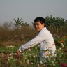 Tungthanh