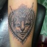 leopard157