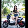 xedienxanh251